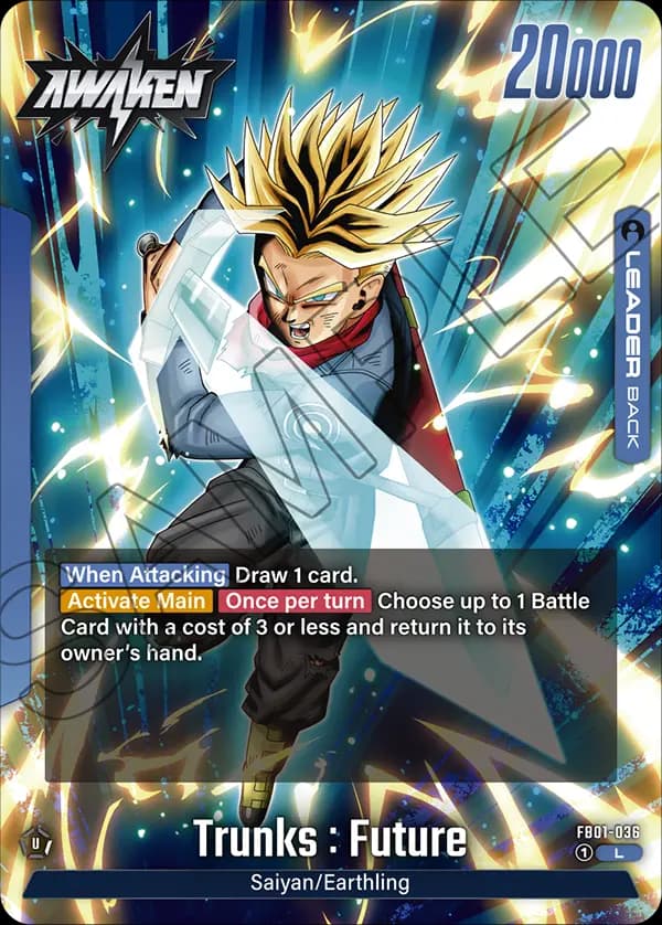 Trunks : Future — L, FB01 — Back