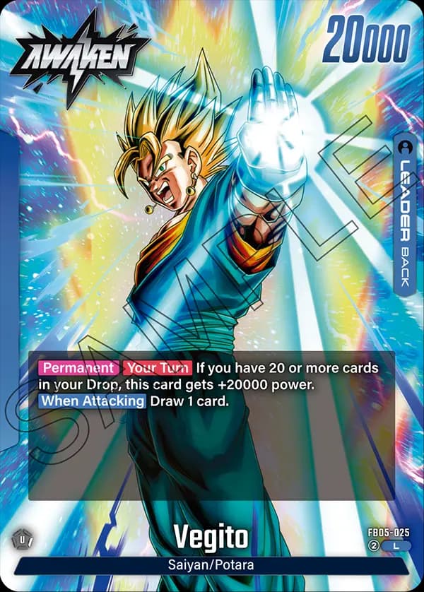 Vegito — L, FB05 — Back
