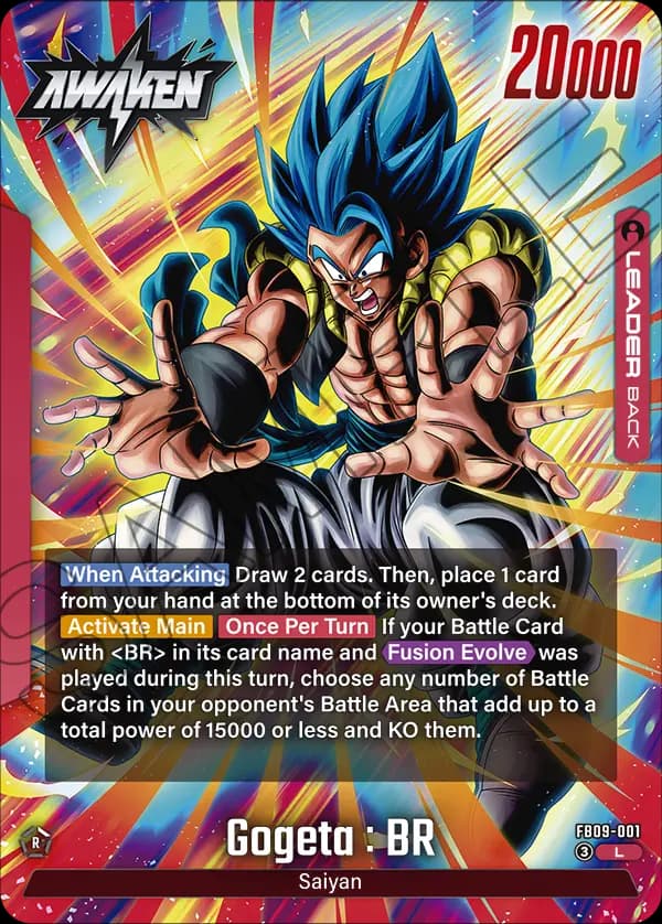 Gogeta : Br — L, FB09 — Back