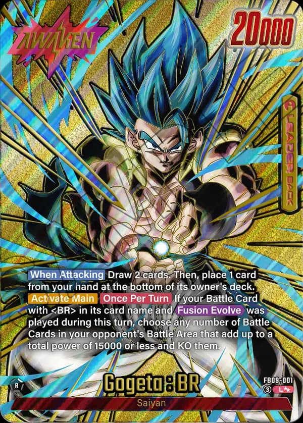 Gogeta : Br — L**, FB09 — Back
