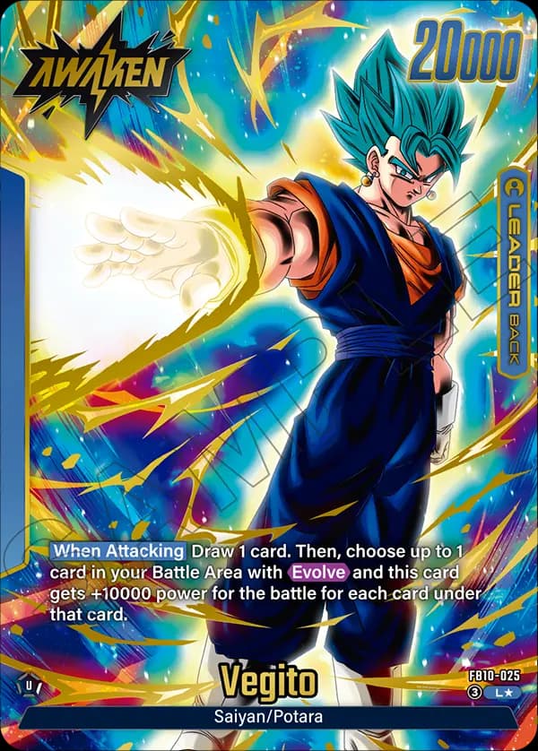 Son Goku/Vegeta — L*, FB10 — Back